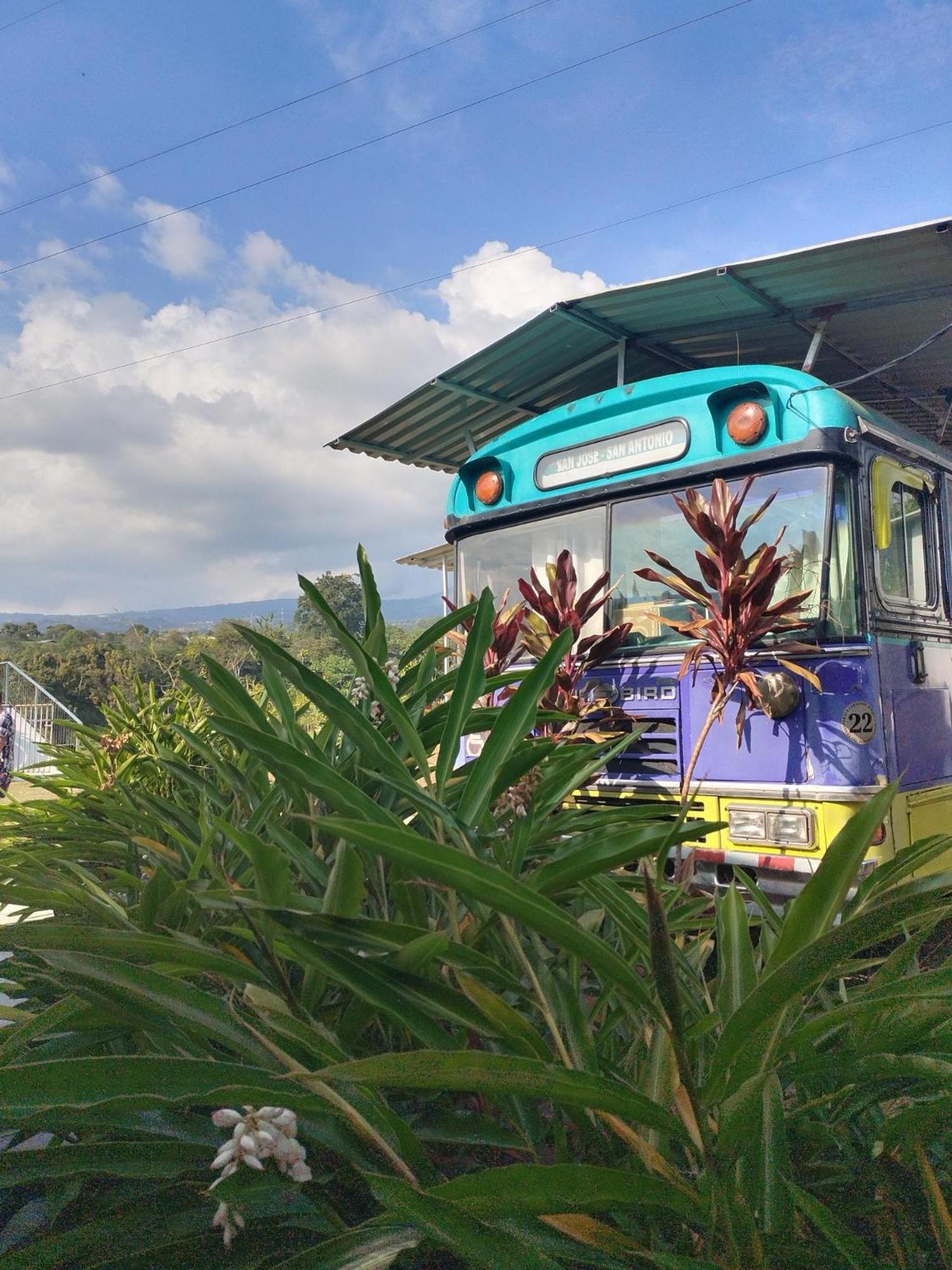Dreamcatcher House Bus Experience 2 Сарчи Экстерьер фото